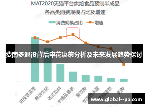 费南多退役背后申花决策分析及未来发展趋势探讨