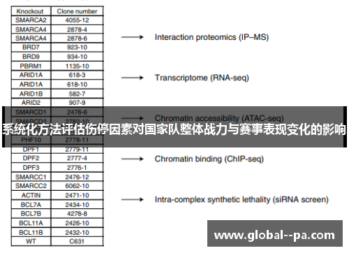 系统化方法评估伤停因素对国家队整体战力与赛事表现变化的影响 系统化方法评估伤停因素对国家队整体战力与赛事表现变化的影响