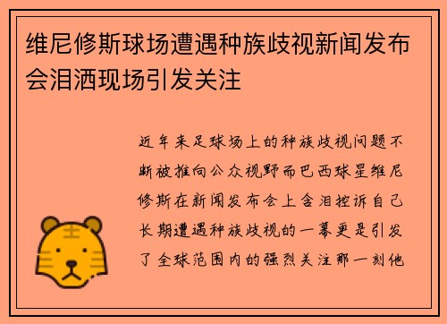 维尼修斯球场遭遇种族歧视新闻发布会泪洒现场引发关注